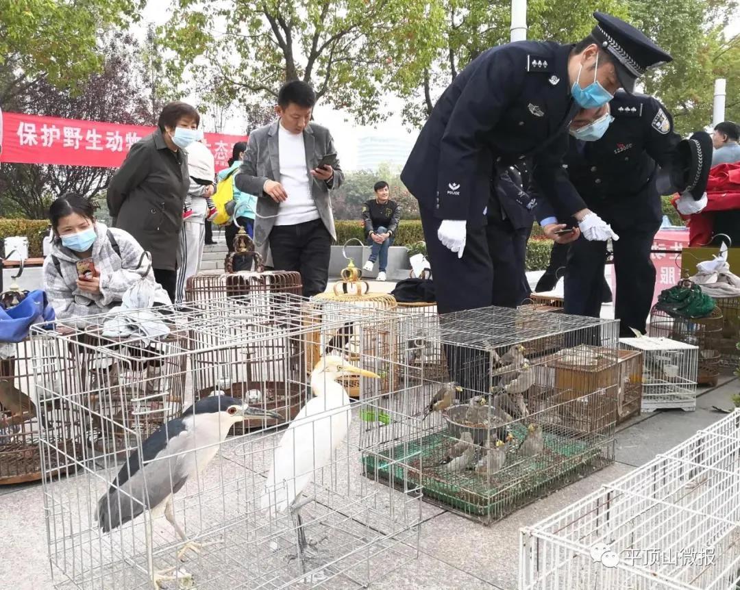 放飞鸟.jpg 放飞鸟.jpg